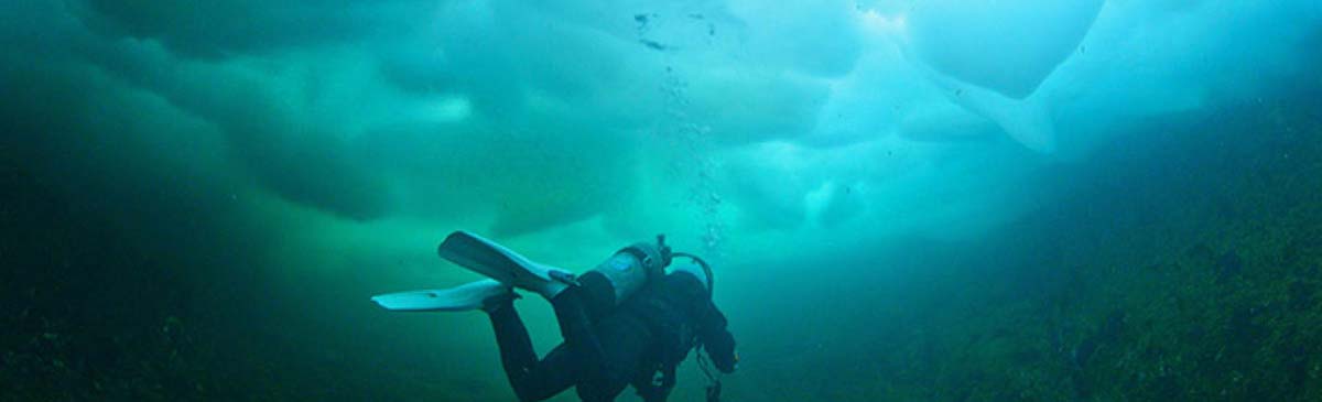 PADI Ice Diver