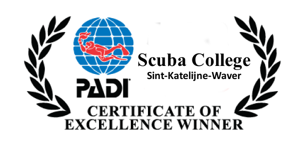 PADI Excellence Logo